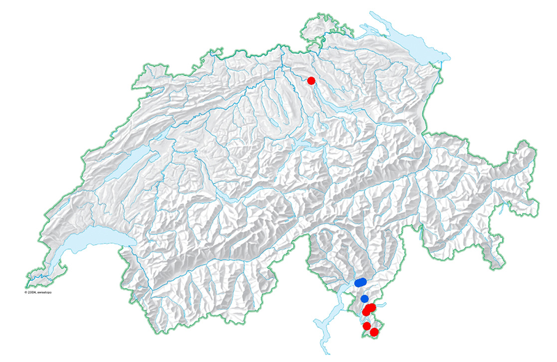 distribution d'Erysiphe salmonii en Suisse