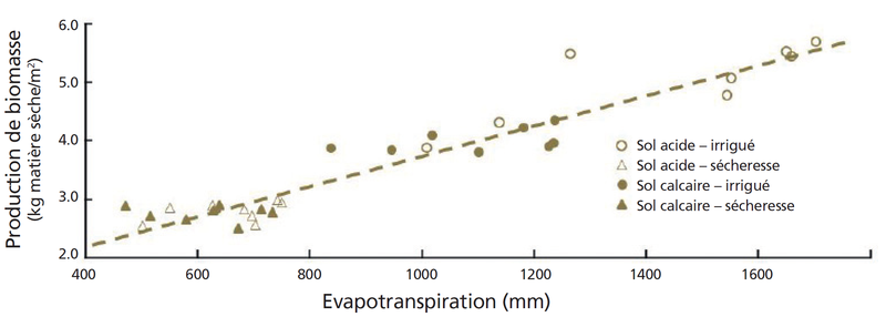 Evapotranspiration et production de biomasse