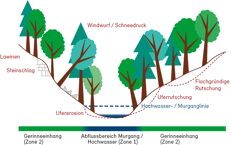 Gerinneschutzwald