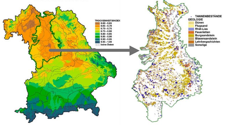 Trockenheitsindex in Bayern, Verbreitung Tanne in Bayern