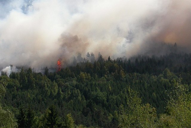 Waldbrand im Kanton Wallis