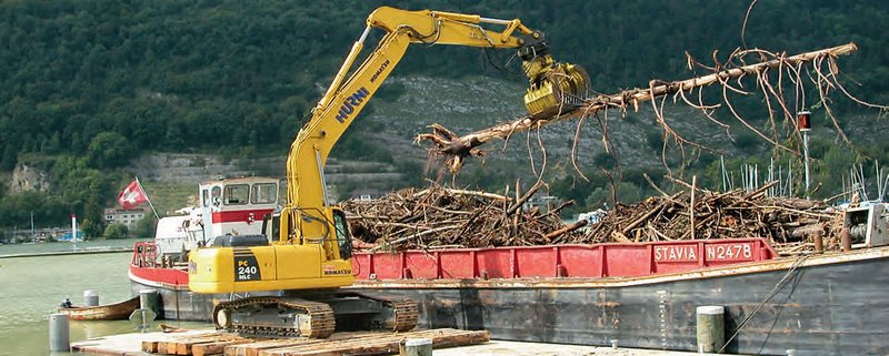 bois flottant collecté dans le lac de Bienne