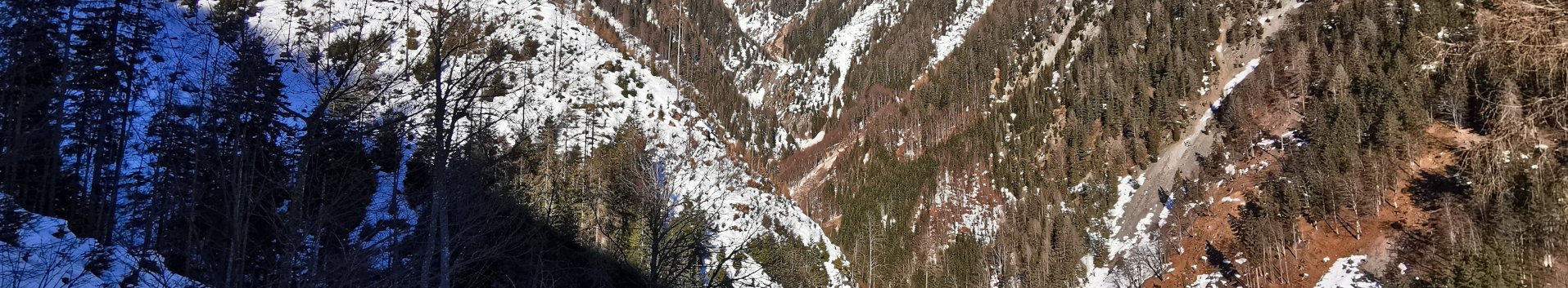 Schneebedecktes Schutzwaldgelände in Kärnten