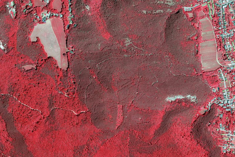 Satellitenbild, das gefährdete Waldbrandzonen zeigt