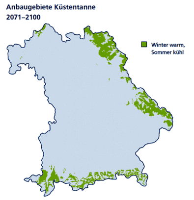 Anbaugebiet der Küstentanne in Bayern 2071-2100