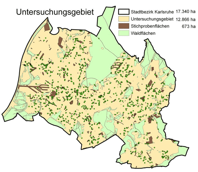 Untersuchungsgebiet Karlsruhe mit Stichprobeflächen und – bäume