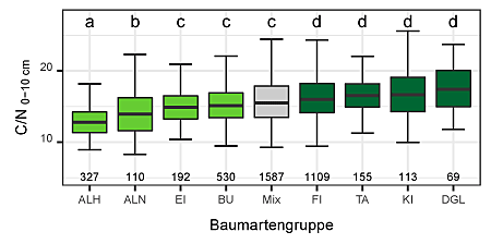 C/N-Verhältnis in 0–10 cm Tiefe von neun Baumartengruppen für ganz Baden-Württemberg (Stichprobenanzahl ist unter jeden Boxplot aufgeführt. Bestockungsklassen sind farblich dargestellt. Buchstaben zeigen signifikante (p ≤ 0.05) Unterschiede zwischen den Baumartengruppen an. Die Mittelwertvergleiche wurden mit dem posthoc.kruskal.dunn.test in R (Paket „PMCMR“) durchgeführt).