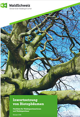 Merkblatt: Inwertsetzung von Biotopbäumen
