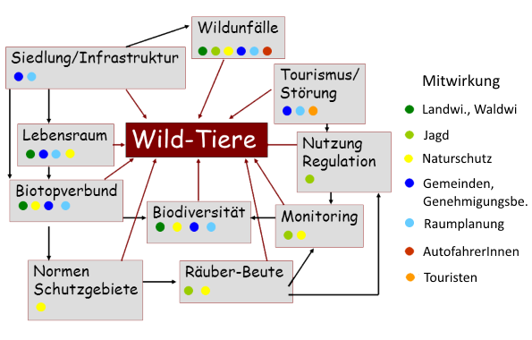 Verantwortlichkeiten im Wildtiermanagement
