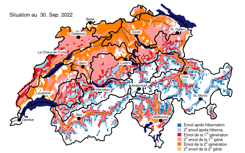 Simulation numérique de l’évolution des scolytes en Suisse