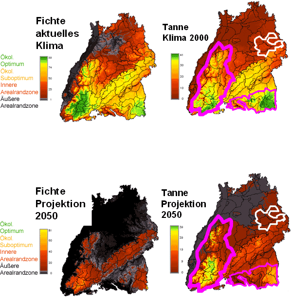 Klima-Risiko-Karten für Fichte (linke Seite) und Tanne (rechte Seite) in Südwestdeutschland abgeleitet für das gegenwärtige Klima (oben) und eine Klimaprojektion für das Jahr 2050 (unten)