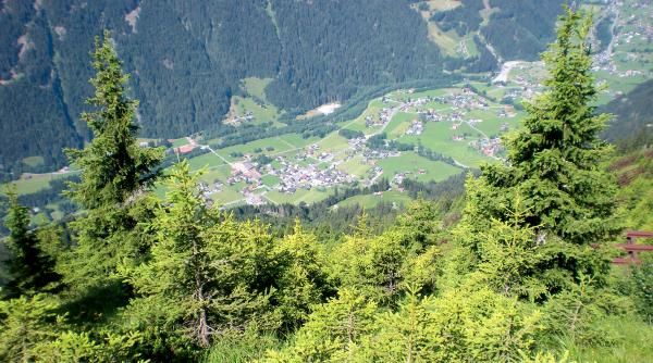 Saatgutversorgung Bestände Vorarlberg - Banner