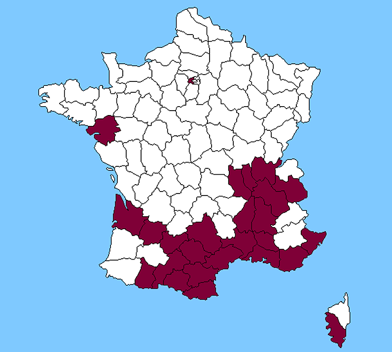 Distribution of canker stain of plane in France (status in 2019).