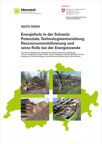 Bericht Energieholz in der Schweiz
