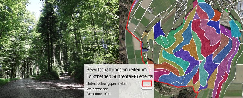 Bewirtschaftungseinheiten im Forstbetrieb Suhrental-Ruedertal 