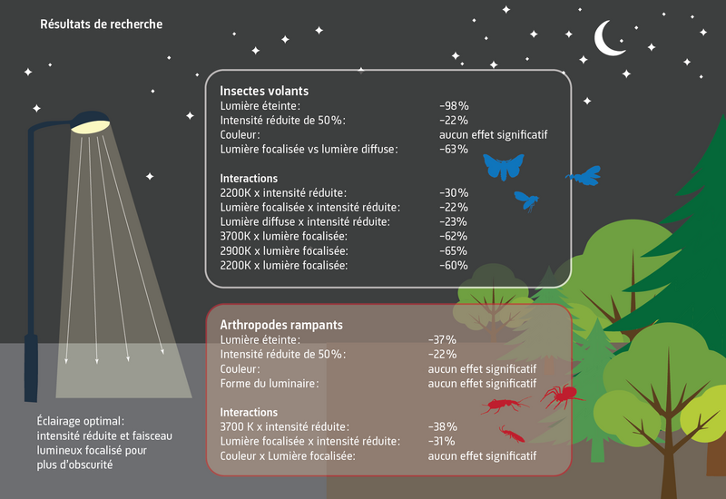 Planification des essais et principaux résultats du projet ALANeX du WSL