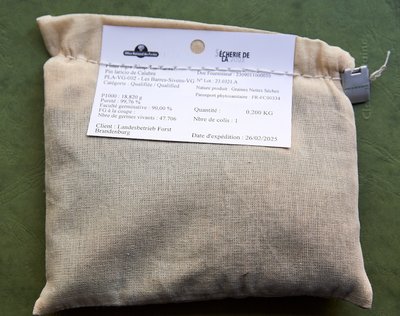 Ein Beutel mit Saatgut alternativer Baumarten