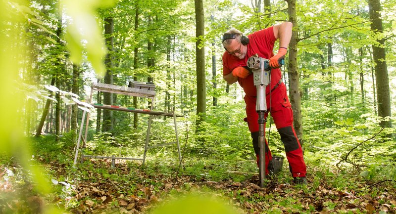 Ein LWF-Mitarbeiter treibt mit einem Stemmhammer eine Rammsonde tief in den Boden.