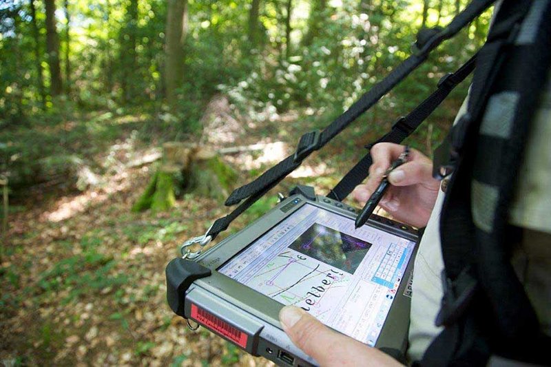 Die Holzvorratskarte unterstützt Forstpraktiker direkt im Wald: von der Bestandesbeurteilung bis zur Planung von Maßnahmen.