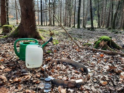 Metalring auf laubbedecktem Waldboden