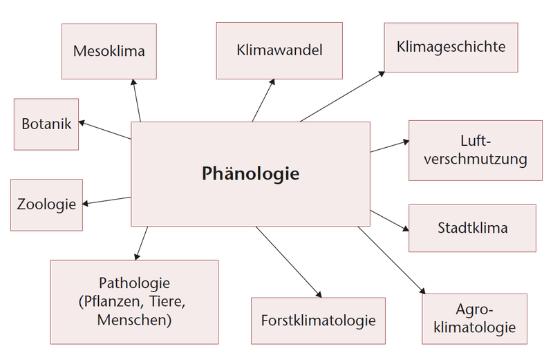 Anwendungsbereiche der Phänologie
