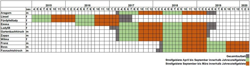 Zum Vergrößern anklicken. Abb. 2: Übersicht der Senderlaufzeit.