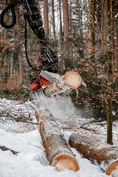 Harvester bei der Holzernte