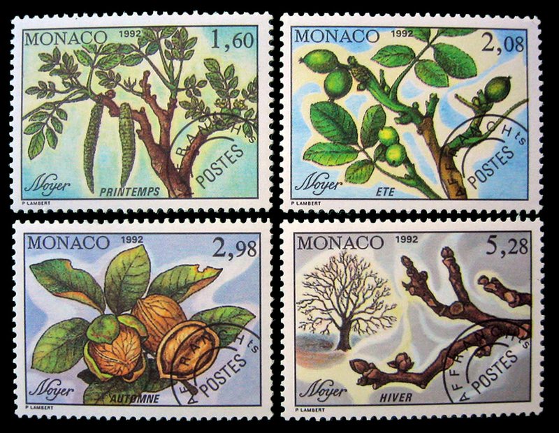 Walnussbaum auf Briefmarken