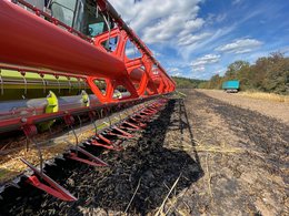 Flurbrände durch Funkenflug gelten als häufige Ausgangspunkte für Waldbrände, insbesondere an trockenen Waldrändern.