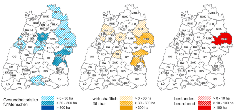 Meldungen der Unteren Forstbehörden und Forstbezirke in Baden-Württemberg zum Eichenprozessionsspinner 2025