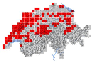 Verbreitung der Weidenmeise in der Schweiz