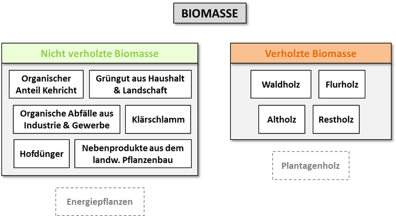 Biomassekategorien