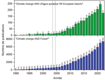 Graphique illustrant la forte augmentation du nombre de publications sur le thème «Changement climatique et hêtre» entre 1990 et 2022
