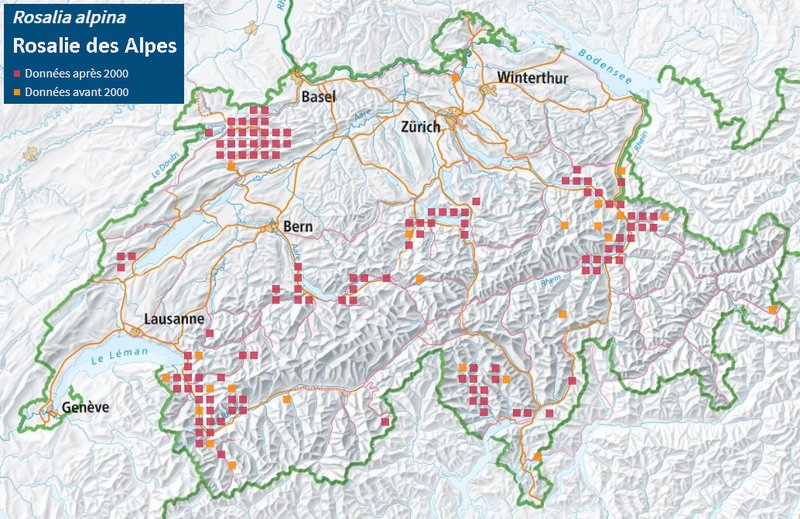 Répartition de la Rosalie des Alpes en Suisse