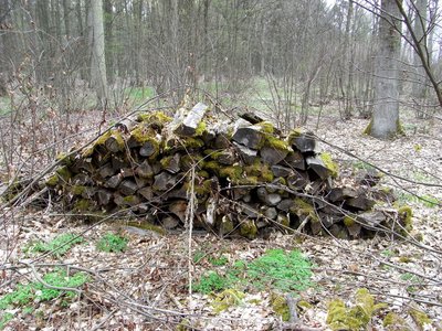alter Brennholzstapel 