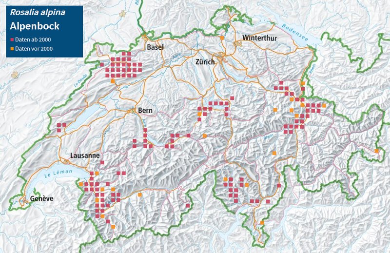 Verbreitung des Alpenbocks in der Schweiz