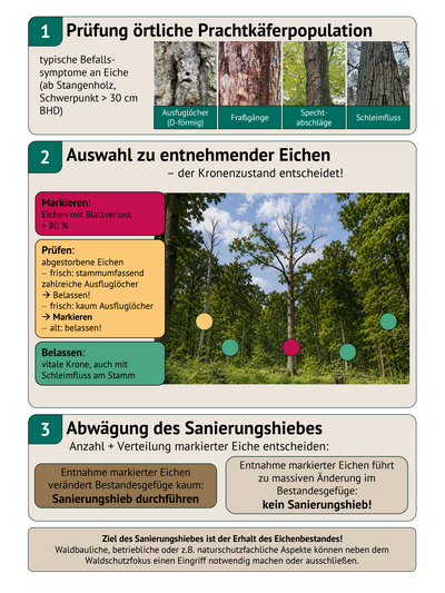 Entscheidungsmatrix