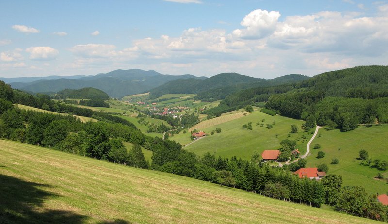 Grünlandwirtschaft in den Seitentälern der Kinzig im Mittleren Schwarzwald mit offenen Talräumen, Wiesenflächen und waldbestandenen Hängen – typisch für eine historisch gewachsene Kulturlandschaft. 