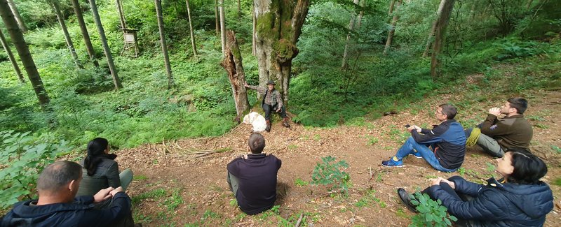 Menschen sitzen in einem Wald und hören einer Person zu