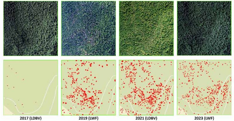 Zeitreihe von 2017 bis 2023