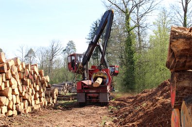 Entrindung von Eichenstammholz durch eine mobile Entrindungsmaschine (links), Detailaufnahme der entfernten Rindenstücke (rechts).