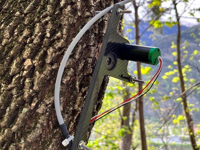 Punktdendrometer auf LWF-Fläche