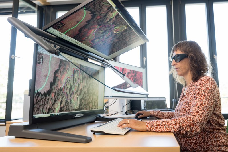 Frau sitzt vor mehreren Bildschirmen