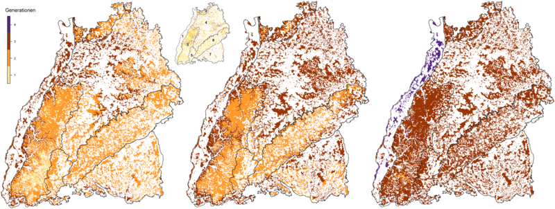 Räumliche Verteilung der Generationenanzahl: (links) heutige Klimabedingungen, Mittelwerte der Periode von 1981-2010; (mittig) und (rechts) zukünftige Klimabedingungen der Periode von 2071-2100 (RCP 8.5-Szenario), (mittig) Mittelwerte und (rechts) Maximalwerte in den 7 Wuchsgebieten in Baden-Württemberg; dargestellt ist die Gesamtwaldfläche. (kleine Karte: 1 = Oberrheinisches Tiefland, 2 = Odenwald, 3 = Schwarzwald, 4 = Neckarland, 5 = Baar-Wutach, 6 = Schwäbische Alb, 7 = Südwestdeutsches Alpenvorland)