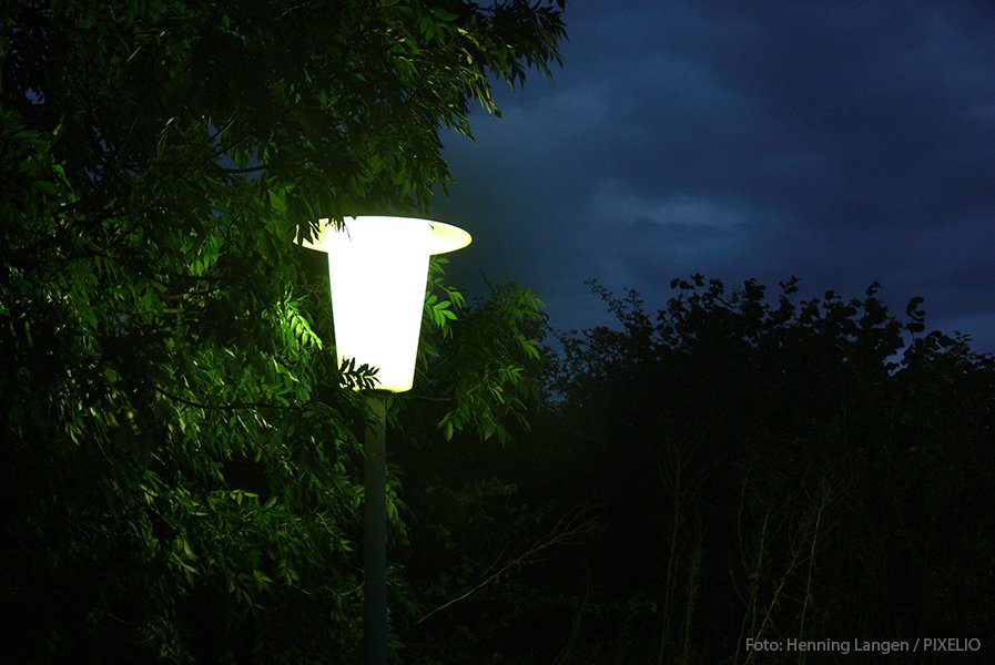 Ökologische Auswirkungen künstlicher Beleuchtung