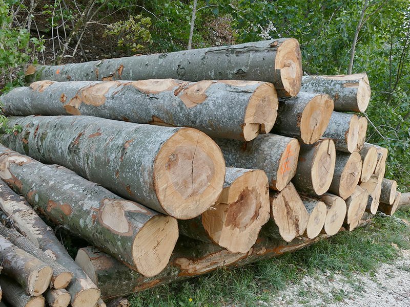 Holzpolter