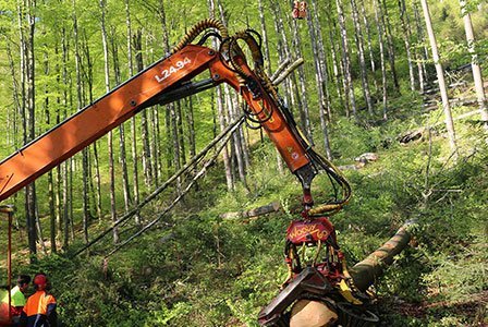 Waldbauliche Maßnahmen im Gebirge