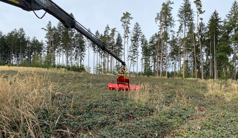Brushwood rake on a timber grab of a forestry crane