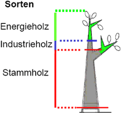 Herkömmliche Aushaltung