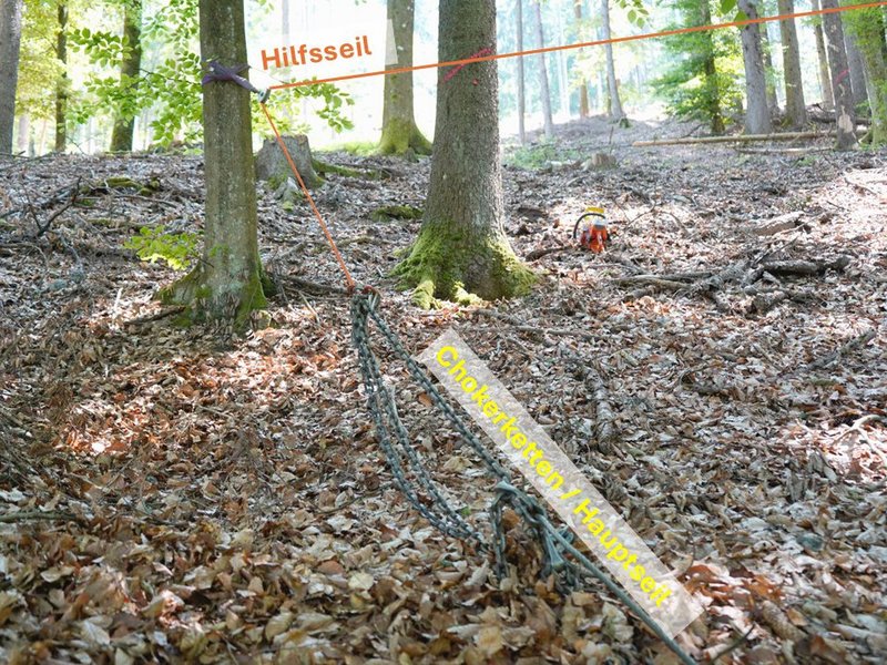 Ein Hilfsseil ist über eine Seilwinde an einem Baum befestigt. Chokerketten verbinden das Hilfs- und das Hauptseil.
